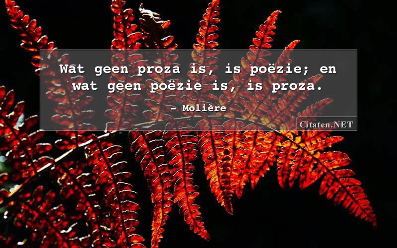 Wat geen proza is, is poëzie; en wat geen poëzie is, is proza.