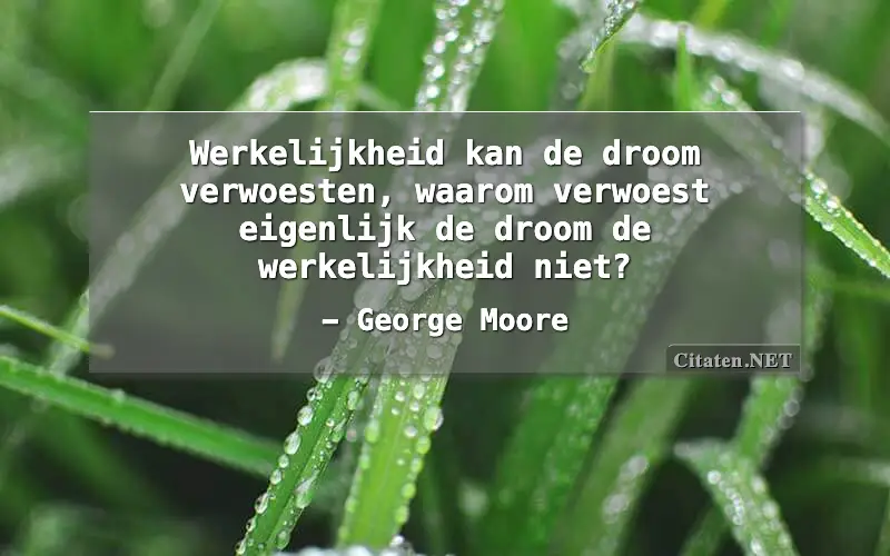 Werkelijkheid kan de droom verwoesten, waarom verwoest eigenlijk de droom de werkelijkheid niet?