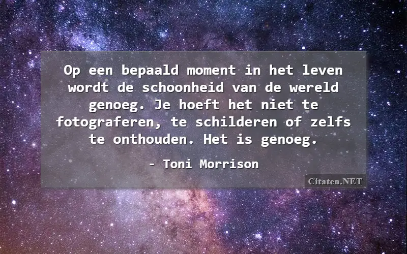 Op een bepaald moment in het leven wordt de schoonheid van de wereld genoeg. Je hoeft het niet te fotograferen, te schilderen of zelfs te onthouden. Het is genoeg.