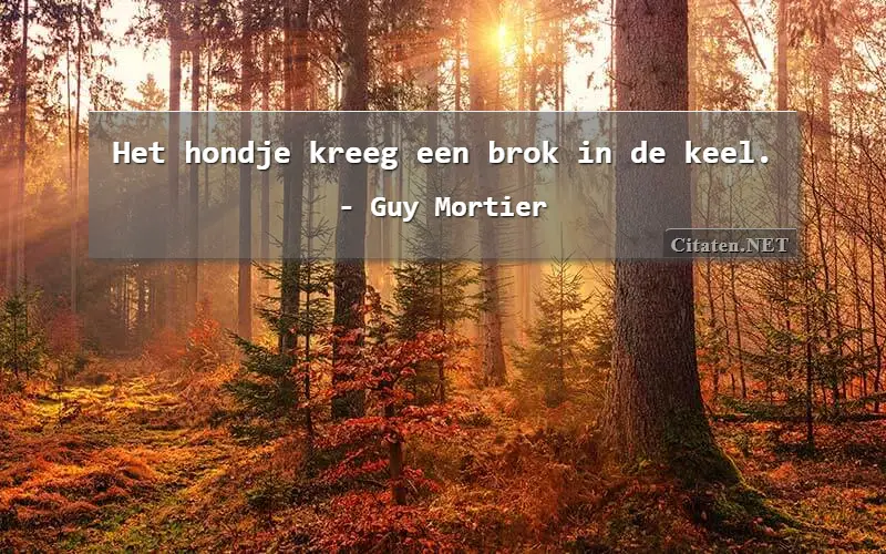 Het hondje kreeg een brok in de keel.