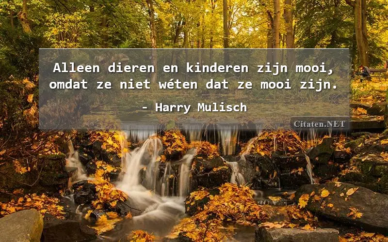 Alleen dieren en kinderen zijn mooi, omdat ze niet wéten dat ze mooi zijn.