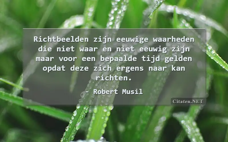 Richtbeelden zijn eeuwige waarheden die niet waar en niet eeuwig zijn maar voor een bepaalde tijd gelden opdat deze zich ergens naar kan richten.