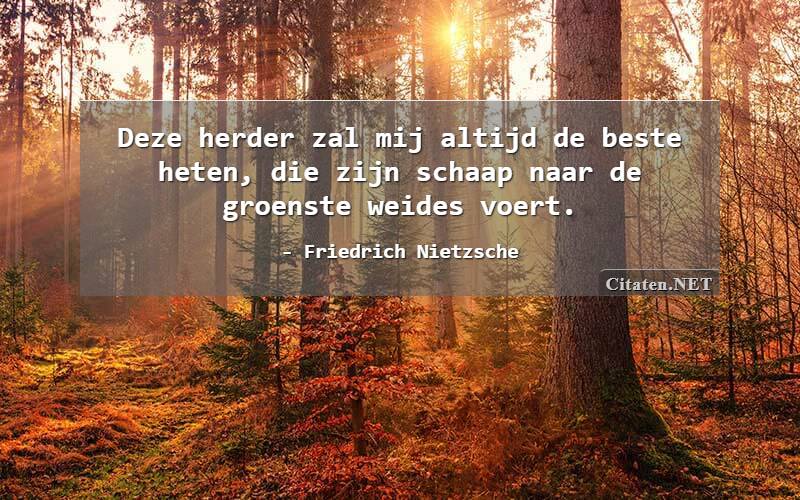 Deze herder zal mij altijd de beste heten, die zijn schaap naar de groenste weides voert.