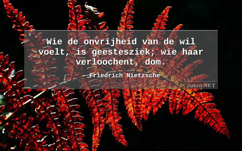 Wie de onvrijheid van de wil voelt, is geestesziek; wie haar verloochent, dom.