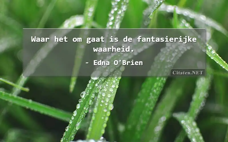 Waar het om gaat is de fantasierijke waarheid.