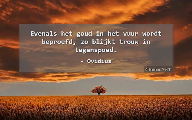 Evenals het goud in het vuur wordt beproefd, zo blijkt trouw in tegenspoed.