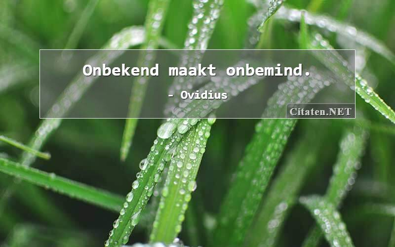 Onbekend maakt onbemind.