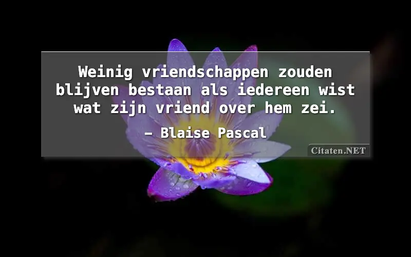 Weinig vriendschappen zouden blijven bestaan als iedereen wist wat zijn vriend over hem zei.