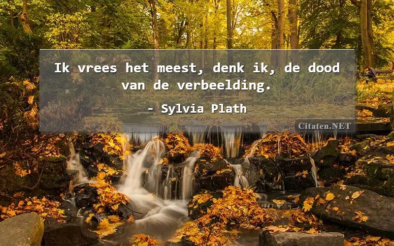 Ik vrees het meest, denk ik, de dood van de verbeelding.