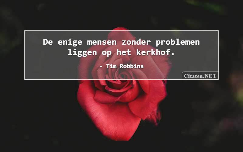 De enige mensen zonder problemen liggen op het kerkhof.