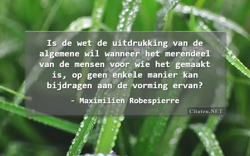 Is de wet de uitdrukking van de algemene wil wanneer het merendeel van de mensen voor wie het gemaakt is, op geen enkele manier kan bijdragen aan de vorming ervan?