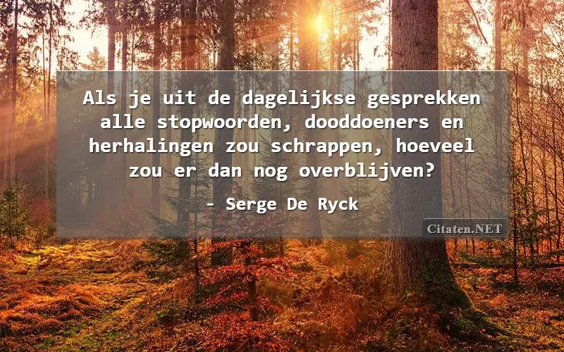 Als je uit de dagelijkse gesprekken alle stopwoorden, dooddoeners en
herhalingen zou schrappen, hoeveel zou er dan nog overblijven?