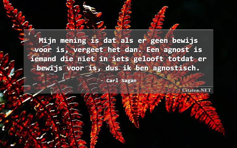 Mijn mening is dat als er geen bewijs voor is, vergeet het dan. Een agnost is iemand die niet in iets gelooft totdat er bewijs voor is, dus ik ben agnostisch.