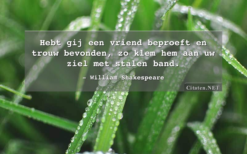 Hebt gij een vriend beproeft en trouw bevonden, zo klem hem aan uw ziel met stalen band.