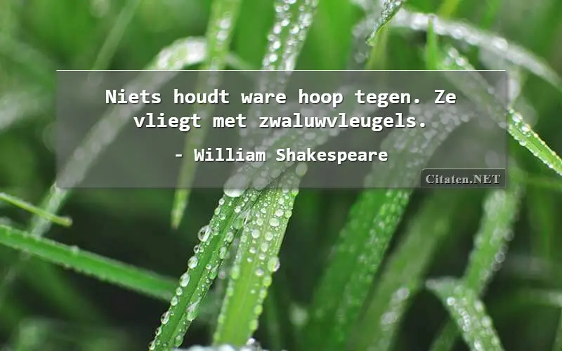 Niets houdt ware hoop tegen. Ze vliegt met zwaluwvleugels.