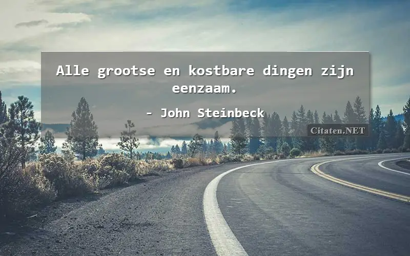 Alle grootse en kostbare dingen zijn eenzaam.