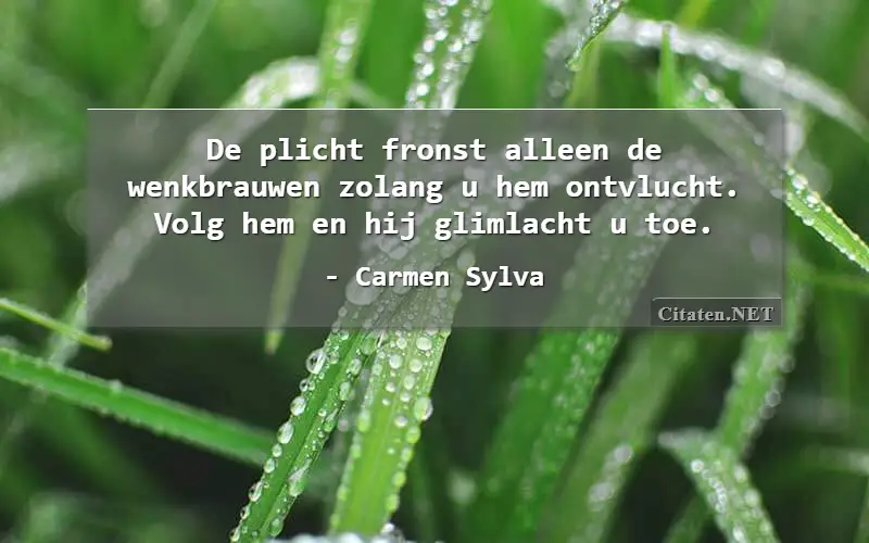 De plicht fronst alleen de wenkbrauwen zolang u hem ontvlucht. Volg hem en hij glimlacht u toe.