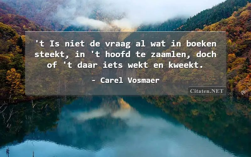 't Is niet de vraag al wat in boeken steekt, in 't hoofd te zaamlen, doch of 't daar iets wekt en kweekt.