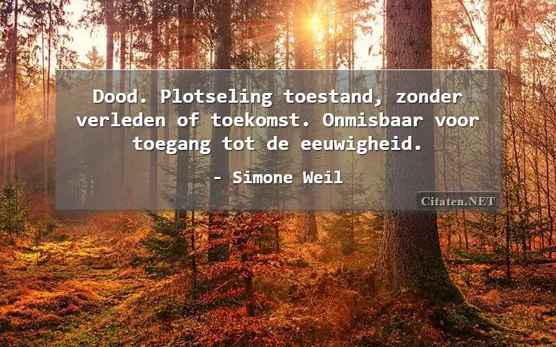 Dood. Plotseling toestand, zonder verleden of toekomst. Onmisbaar voor toegang tot de eeuwigheid.