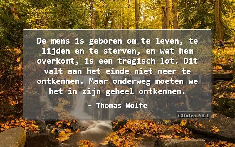 De mens is geboren om te leven, te lijden en te sterven, en wat hem overkomt, is een tragisch lot. Dit valt aan het einde niet meer te ontkennen. Maar onderweg moeten we het in zijn geheel ontkennen.