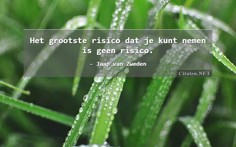 Het grootste risico dat je kunt nemen is geen risico.