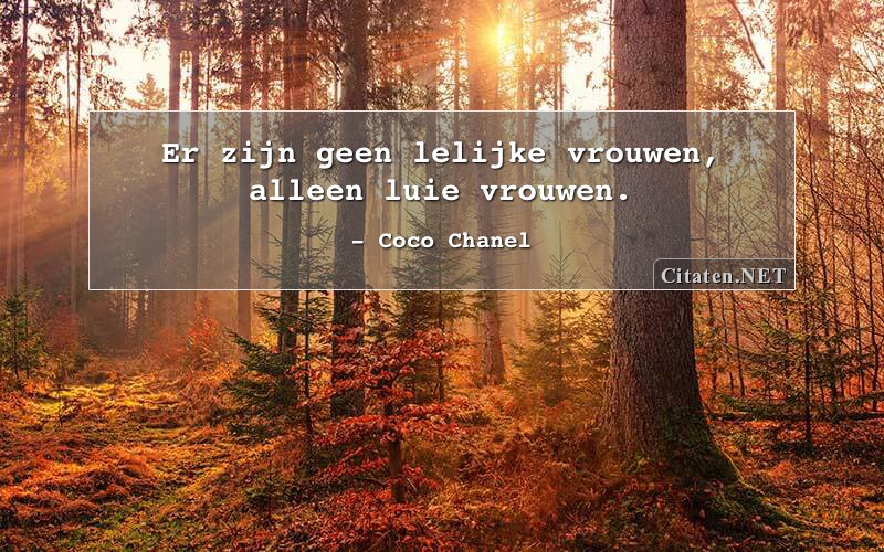 Zeg opzij Wennen aan Piepen Citaten.net | Coco Chanel - Er zijn geen lelijke vrouwen, alleen luie  vrouwen.