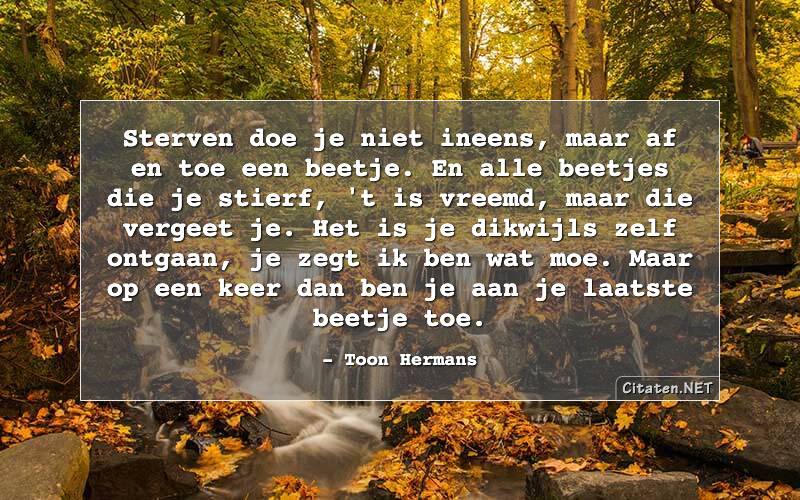 32 Citaten van Toon Hermans: Citaten, quotes, uitspraken en wijsheden -