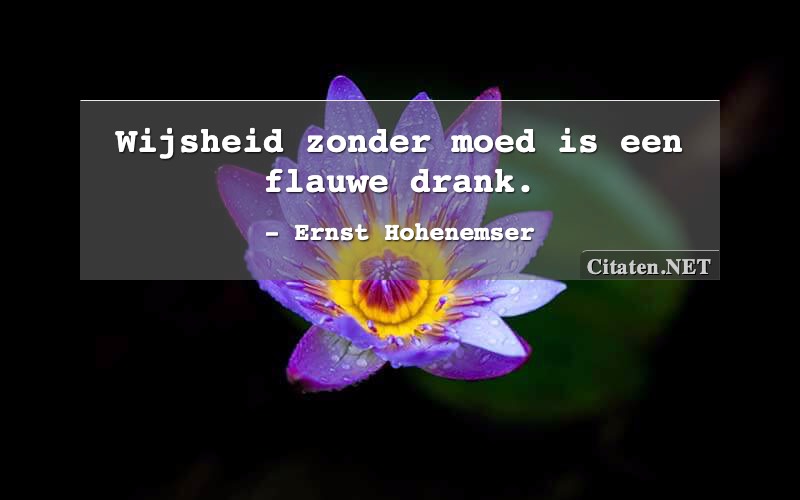 Citaten Met Drank Citaten Quotes Uitspraken En Wijsheden