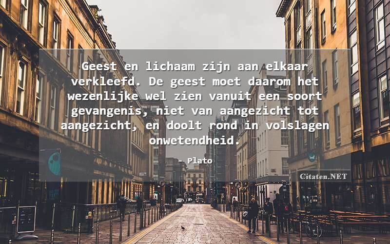 Citaten Met Wezenlijke Citaten Quotes Aforismen En Wijsheden Citaten Net